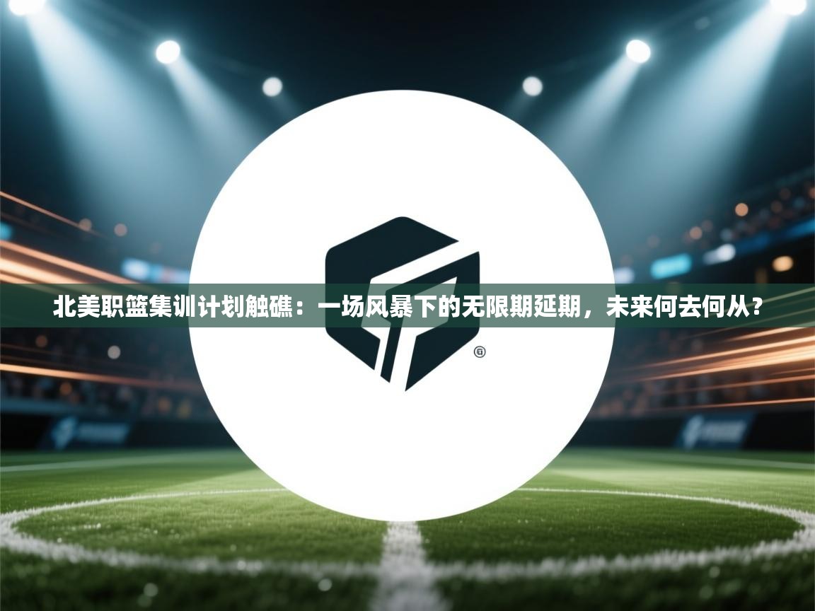 北美职篮集训计划触礁:一场风暴下的无限期延期,未来何去何从? 第1张