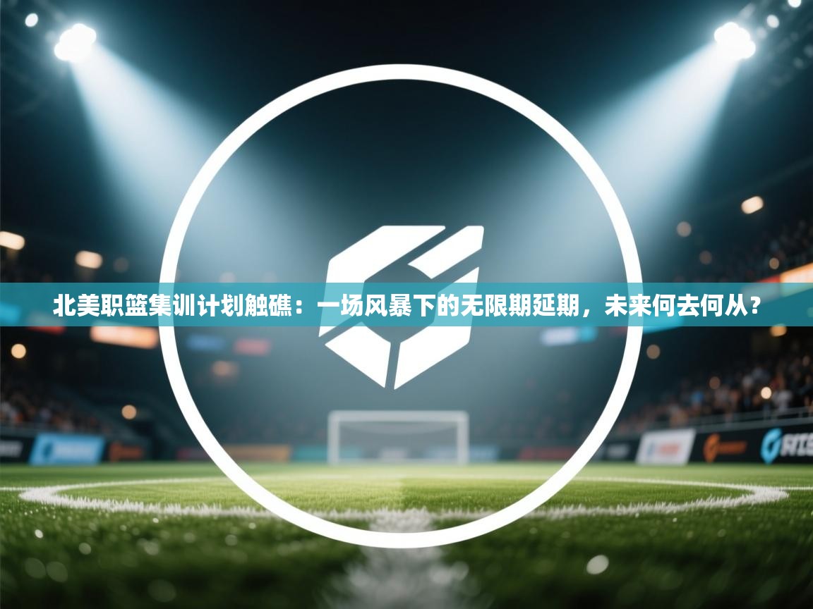 北美职篮集训计划触礁:一场风暴下的无限期延期,未来何去何从? 第2张